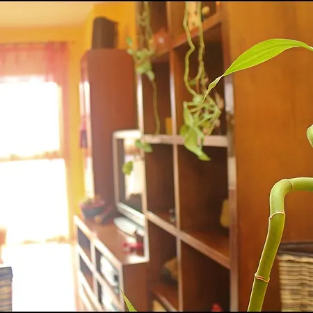 Apartamento Cortadura * Kadyks